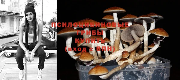 PSILOCYBIN Алексин
