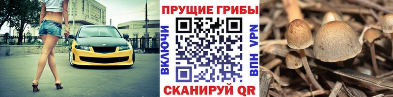 Галлюциногенные грибы ЛСД Полысаево